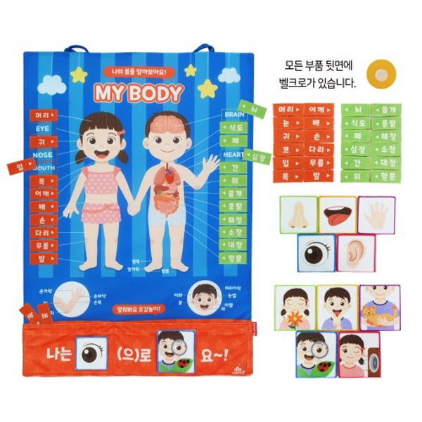 매직캐슬 차트 나의 몸